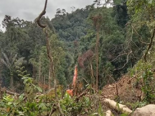 Tambang Ilegal dan Perambahan Kian Marak di TNKS