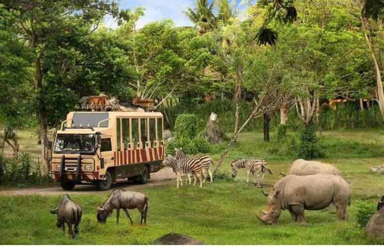 Tips Berwisata ke Taman Safari Indonesia untuk yang Pertama Kali