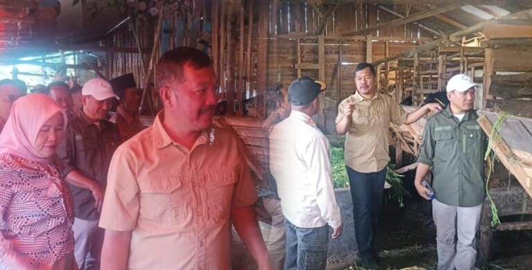 Pemkab Kerinci Tetapkan Batang Sangir Sentra Peranakan Kambing Etawa