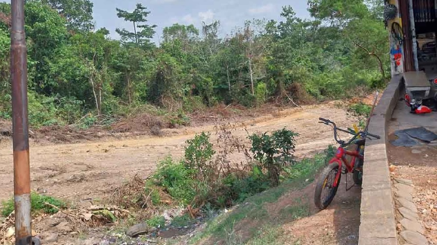 Rampung Oktober 2024, Hanya 1 Ruas Jalan Khusus Batu Bara yang Siap 