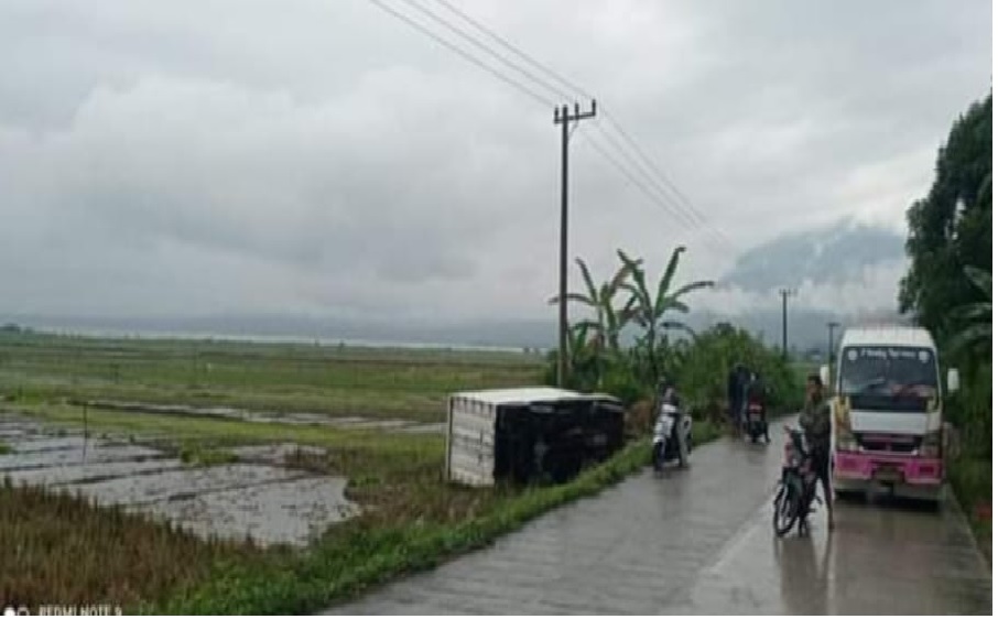 Di Kerinci, Truk Box Tabrak Tiang Listrik dan Terguling ke Sawah 