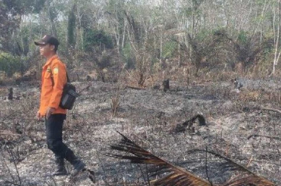 Karhutla Di Kabupaten Tebo Mulai Meningkat 
