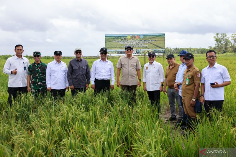 Kemenhan Berperan Dalam Pembangunan PSN Lumbung Pangan di Wanam