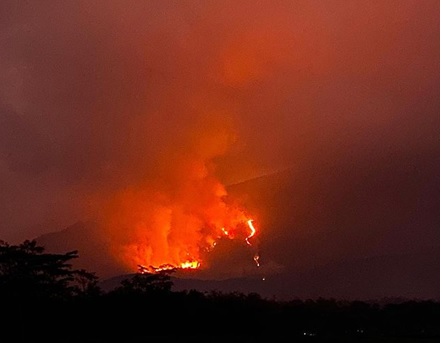 Hutan di Gunung Lawu Kembali Terbakar