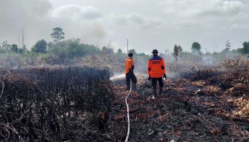 Kebakaran Lahan Gambut di Provinsi Jambi  Makin Luas, Dari Muaro Jambi Menyebar ke Tanjabtim