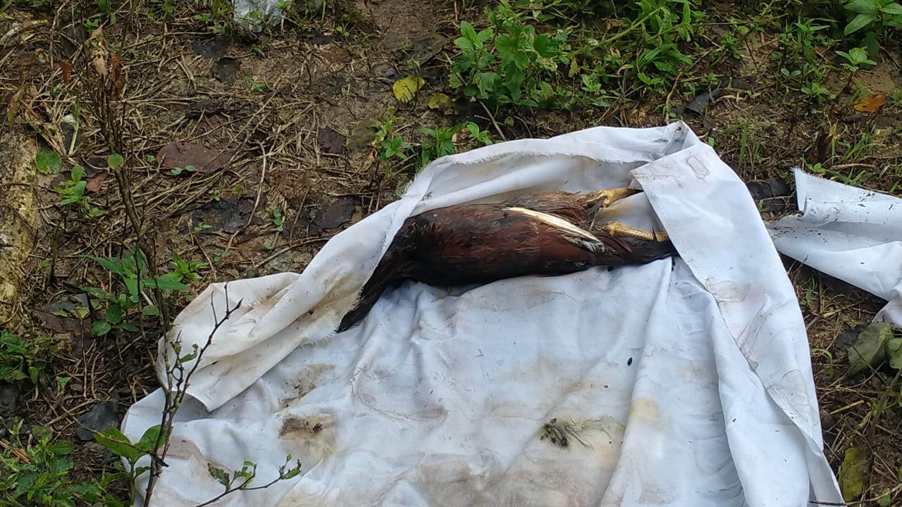 Heboh! Bungkusan Kain Putih di Pemakaman Bikin Warga Gempar, Ternyata Ini Isinya