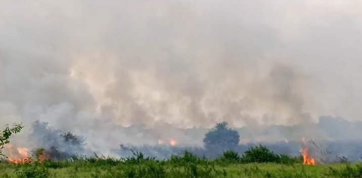 Dalam Sehari, Ada Tiga Lokasi Karhutla di Muaro Jambi