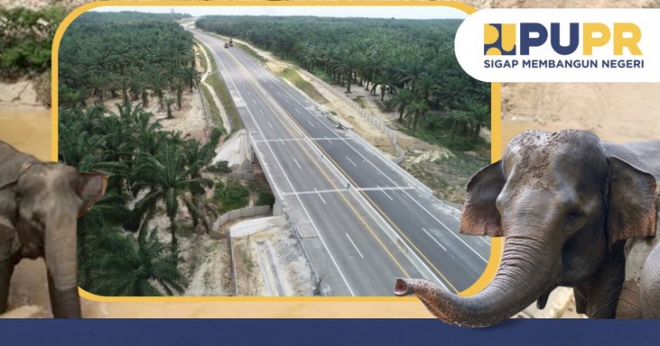 Tol Riau Bukan Lagi Jadi Pemilik Tunggal Terowongan Gajah di RI, Ini Saingan Barunya
