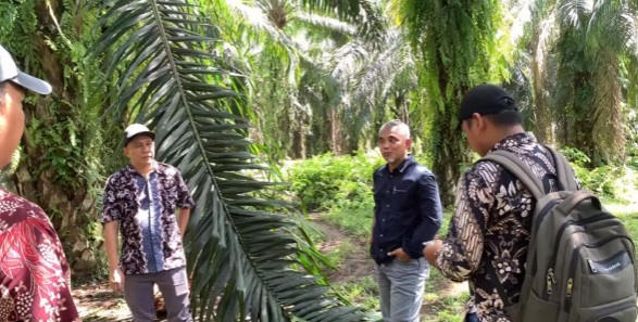 Monitoring Evaluasi Kinerja, Region Head  PTPN IV Regional 4 Jambi-Sumbar ke Kebun Ophir 