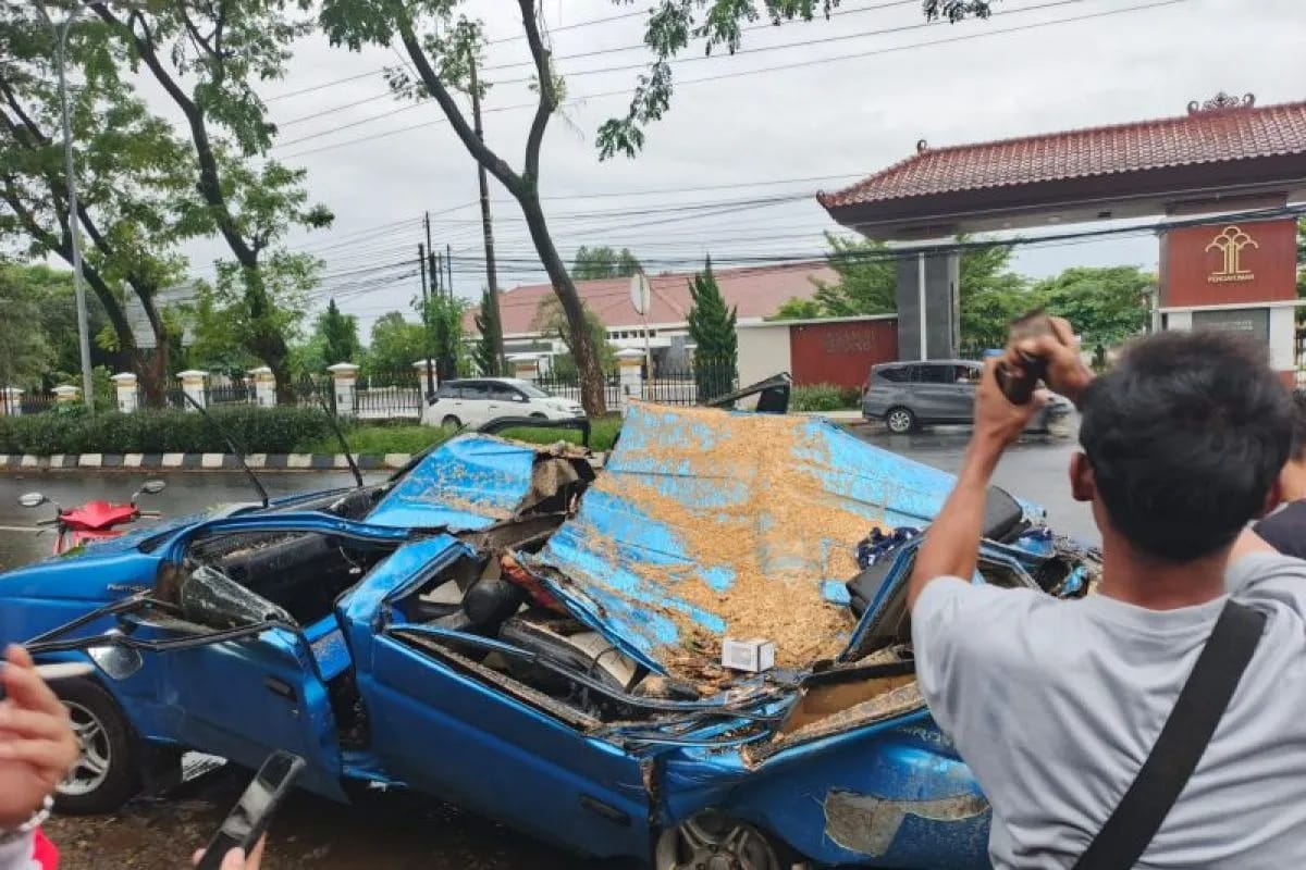 Pohon Tumbang Timpa Mobil di Semarang