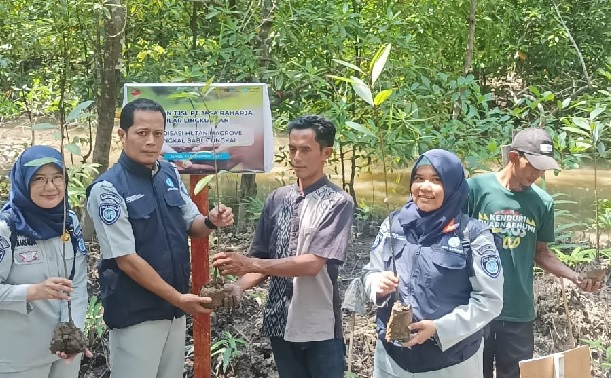 Jasa Raharja Cabang Jambi Dukung Reboisasi Hutan Mangrove di Desa Tungkal I Lewat TJSL 