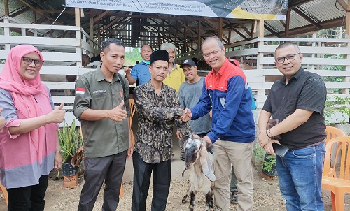 Konsen Bantu BUMDes, PetroChina Beri Bantuan 35 Ekor Kambing