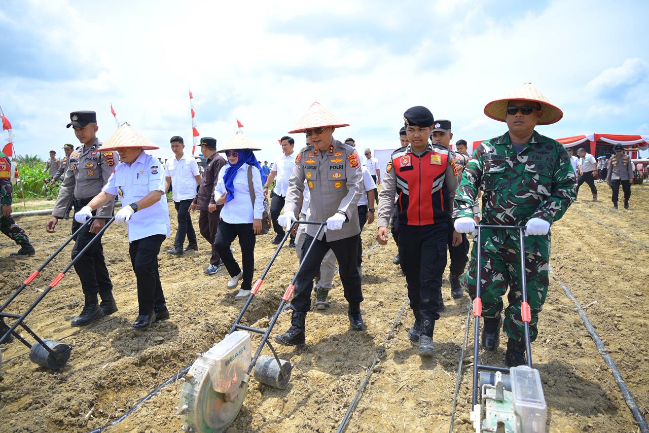 Polda Jambi Tanam Jagung Serentak dan Resmikan Gudang Ketahanan Pangan Polri Dukung Swasembada Pangan Nasional