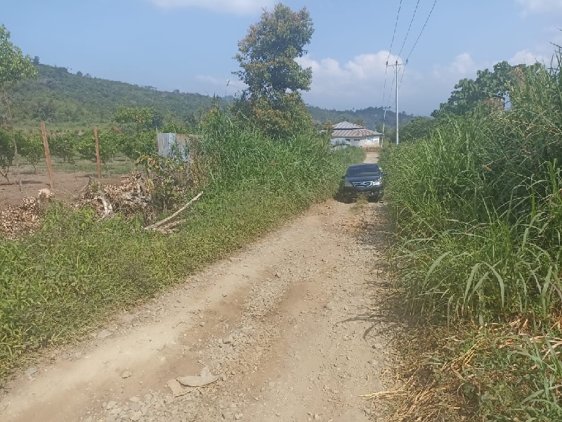 Jalan Rusak Puluhan Tahun di Tamiai Kerinci Tak Kunjung Diperbaiki