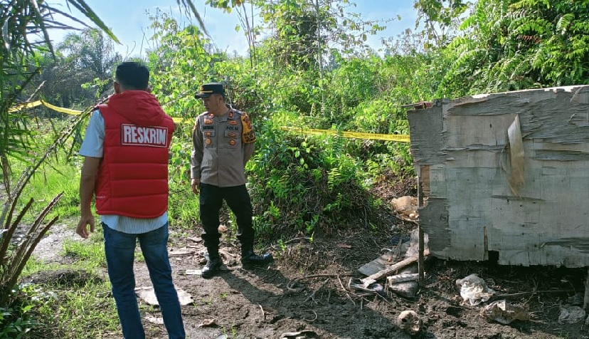 Warga Geragai Temukan Diduga Tengkorak Manusia di Perkebunan Sawit 