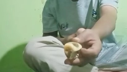 Buah Sudah Busuk, Warga Sorot MBG di Siulak