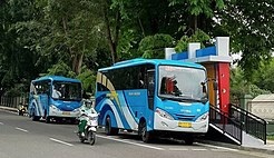 Tarif Trans Siginjai Direncanakan Naik, Tunggu Persetujuan Gubernur