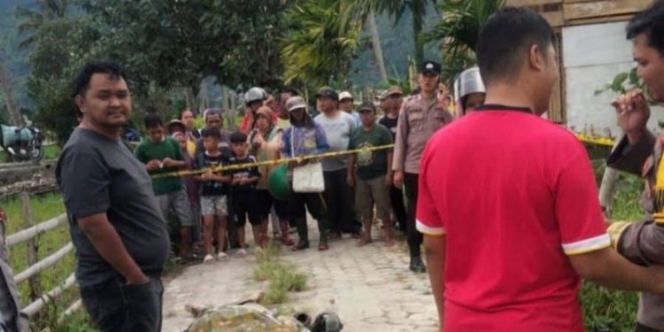 Heboh.. Warga Sungai Penuh Ditemukan Meninggal Dipersawahan 