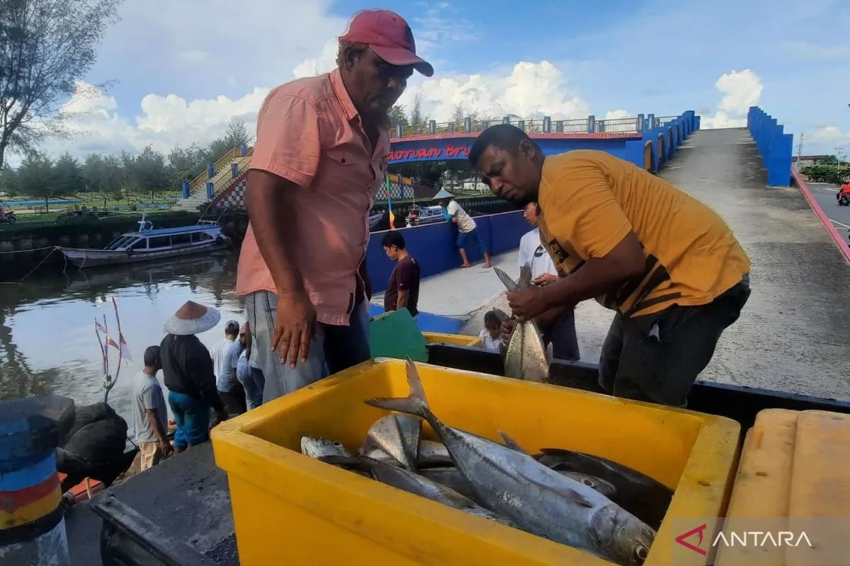 Produksi Ikan Tangkap di Pariaman 2024 Meningkat Jadi 6.087 Ton