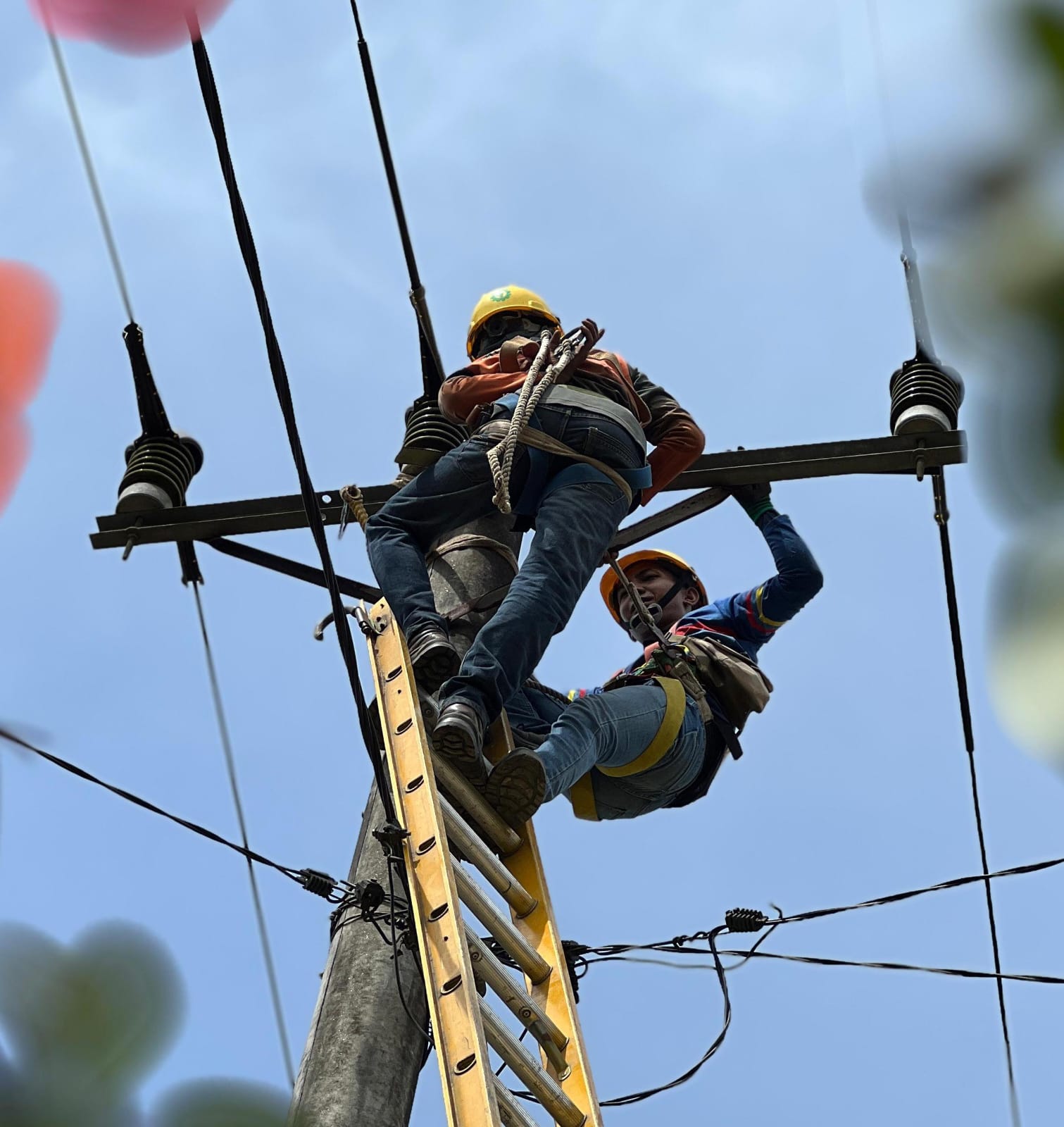 PLN ULP Seberang Kota Tingkatkan Kehandalan Kelistrikan Menjelang Natal dan Tahun Baru 2025