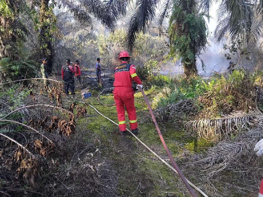 PetroChina Bantu Padamkan Karhutla di Jambi