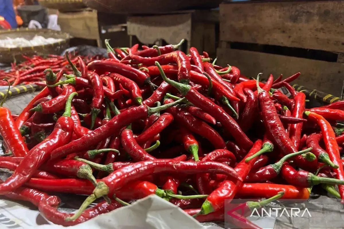 Harga Cabai Rawit Turun Jadi Rp45.002/kg, Bawang Merah Rp37.308 /kg