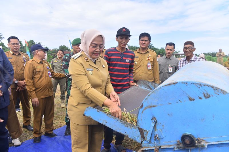 Optimalkan Lahan Tidur, Pemkot Jambi Jamin Ketahanan Pangan Local