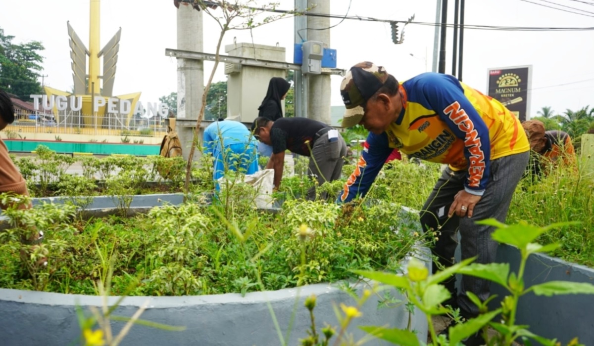 Turunkan Alat Berat, Pemkab Merangin Goro Massal di Tiga Titik