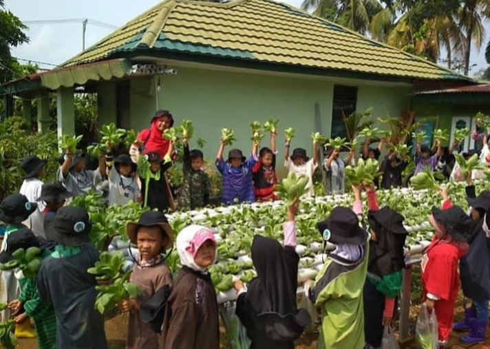 Manfaatkan Waktu Ruang, Babinsa Koramil 06/Muara Bungo Budidaya Sayur Hidroponik