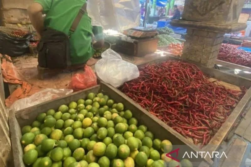 Pasca Lebaran Idul Fitri Harga Sembako Kembali Normal