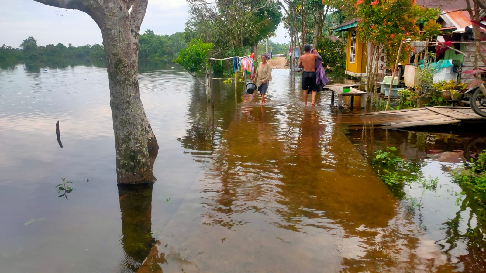 Banjir Rob, Warga Teluk Dawan Diimbau Serangan Buaya