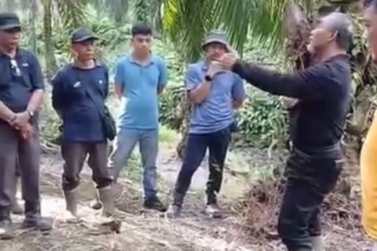 Kunjungan Region Head PTPN IV Regional 4 ke Kebun Ophir, 'Mutu Terjaga, Target Tercapai'