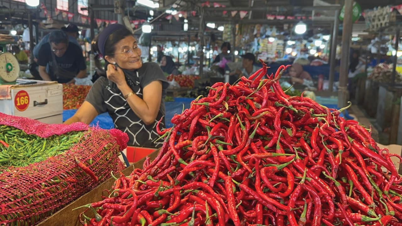 Harga Cabai di Kota Jambi Makin Pedas, Sudah Tembus Rp80 Ribu Per Kilogram