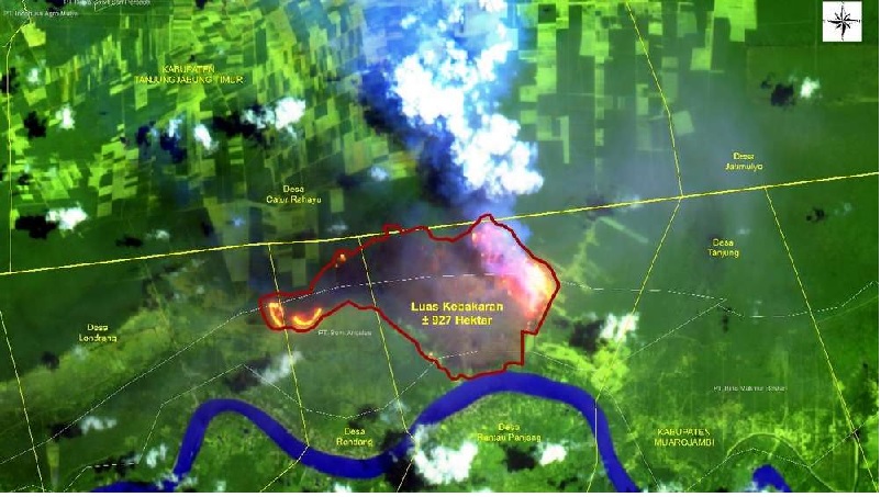  Kebakaran Lahan di Kumpeh Meluas, Sudah Menyentuh Seluas 927 Hektare