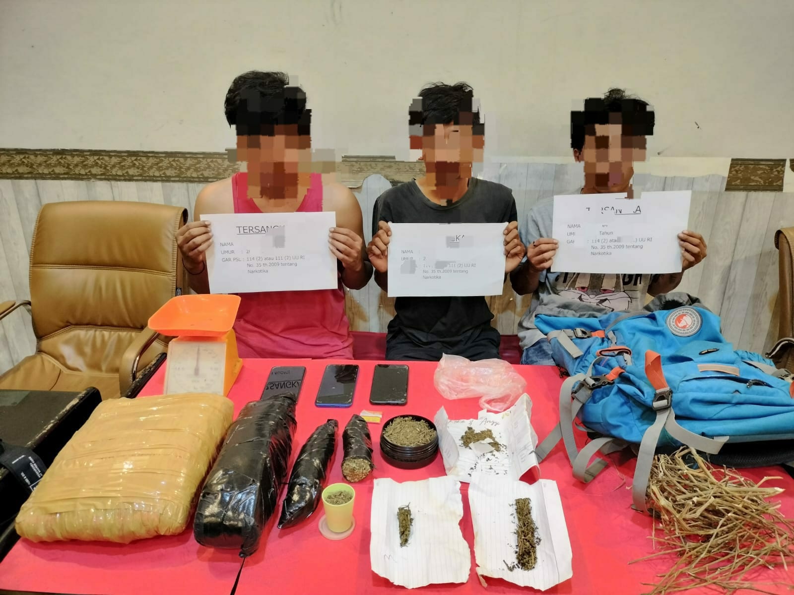 Polresta Jambi Tangkap 3 Orang Pengedar Ganja dengan BB 1,9 Kg 