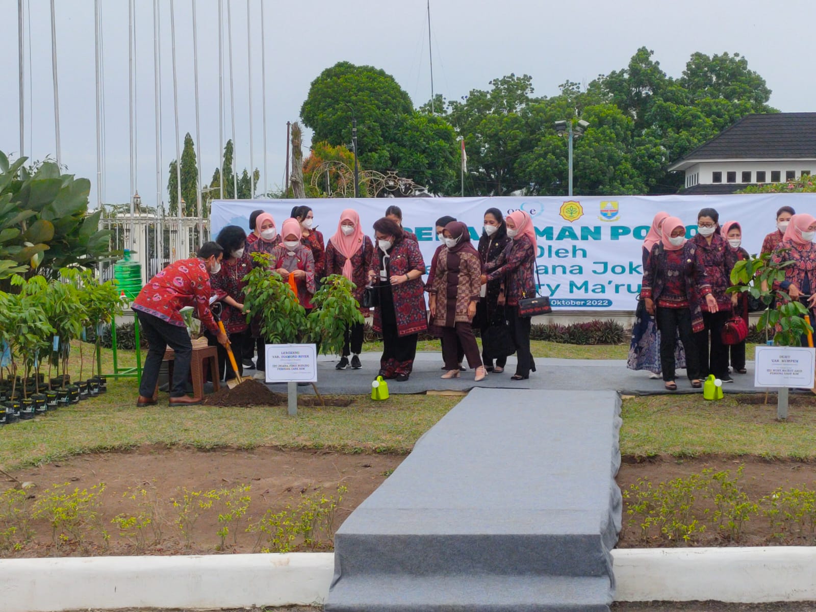 Ibu Negara Tanam Pohon Lengkeng di Rumah Dinas Gubernur Jambi