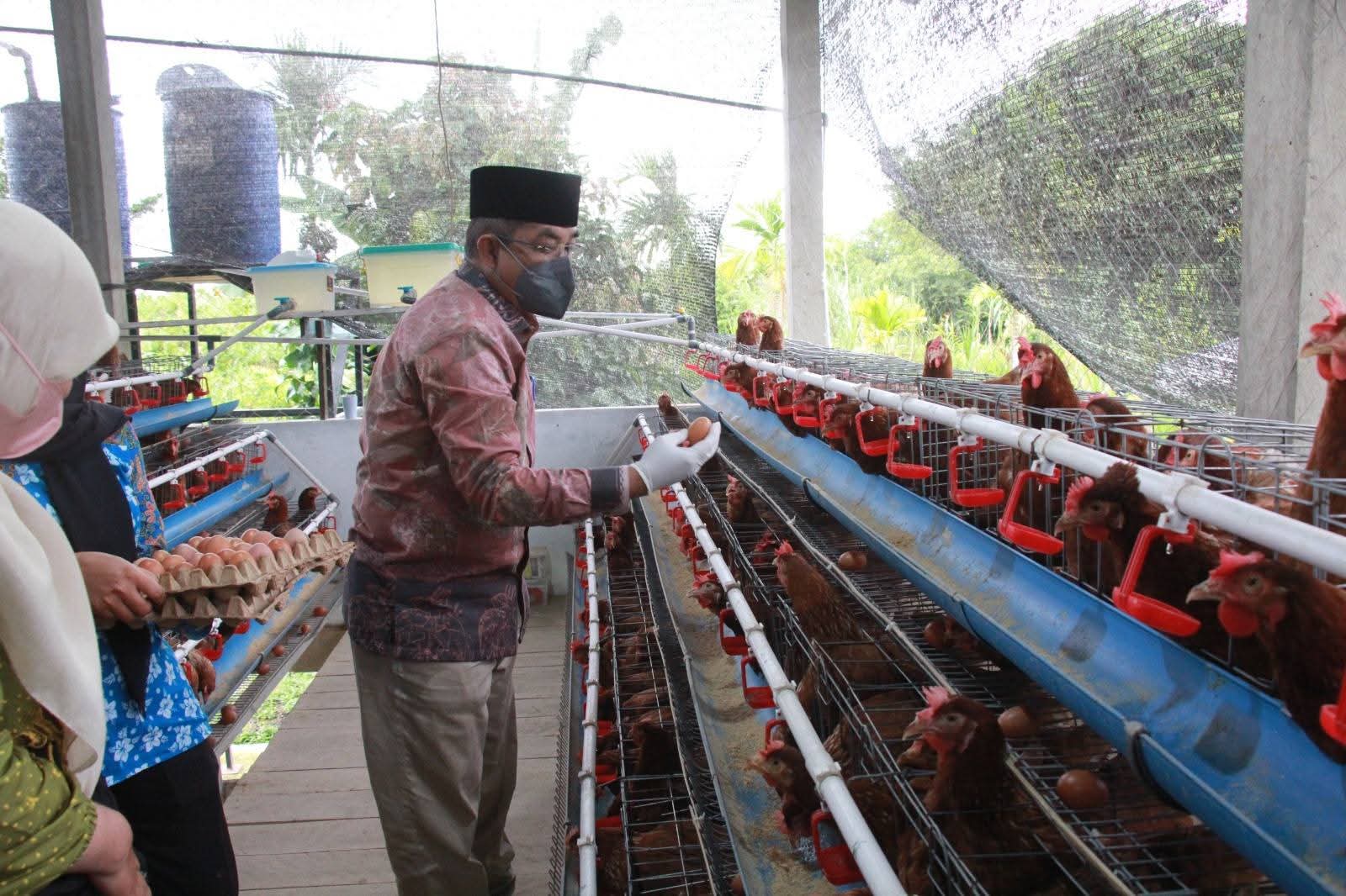 Berkah Madani Farm Perkuat Ketahanan Pangan dan Ekonomi Masyarakat