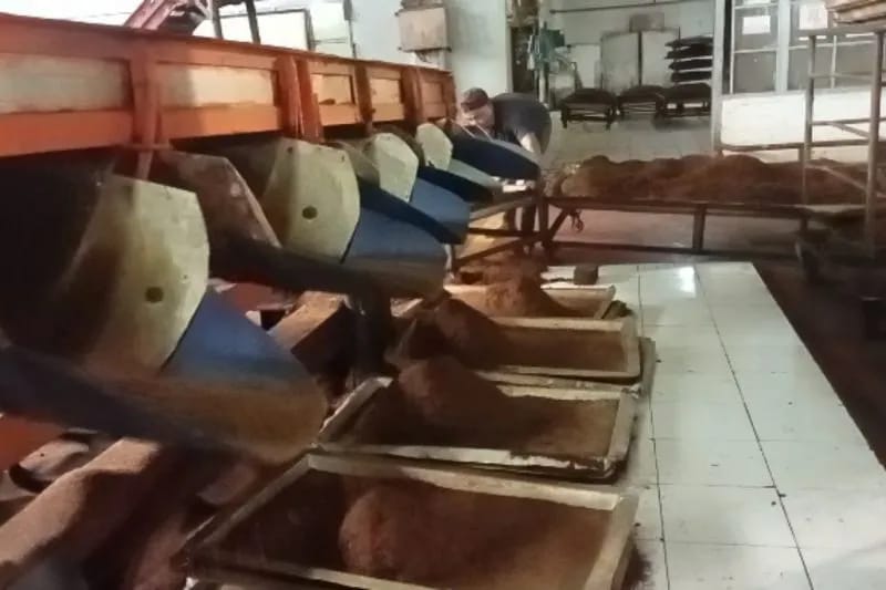 Satu Abad Menjaga Mutu Teh Bersama Teknologi Warisan Belanda