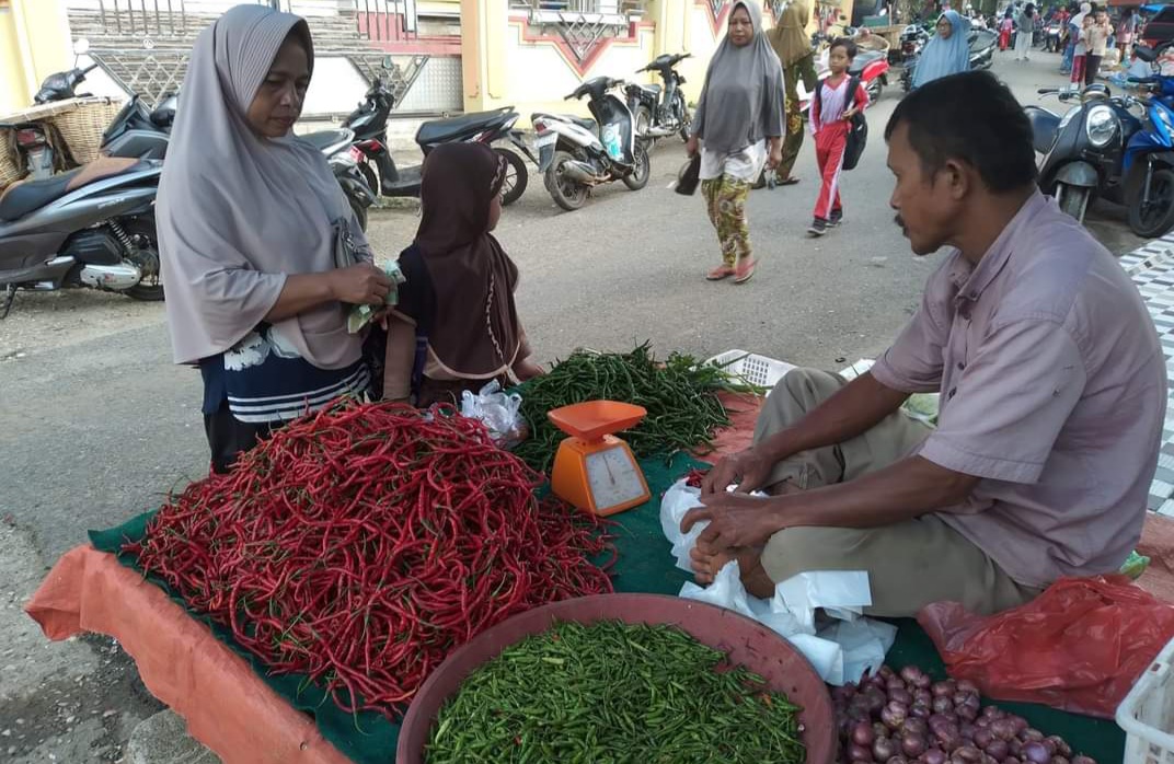 Harga Cabai di Bungo Makin Pedas, Tembus Rp 95 Ribu Perkilogram