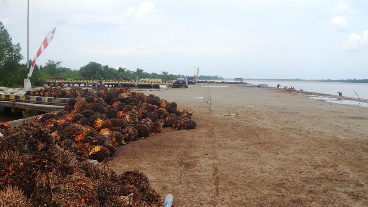 Pelabuhan Muarasabak Diproyeksikan Pelabuhan Pendukung Ekspor Impor Barang di Jambi