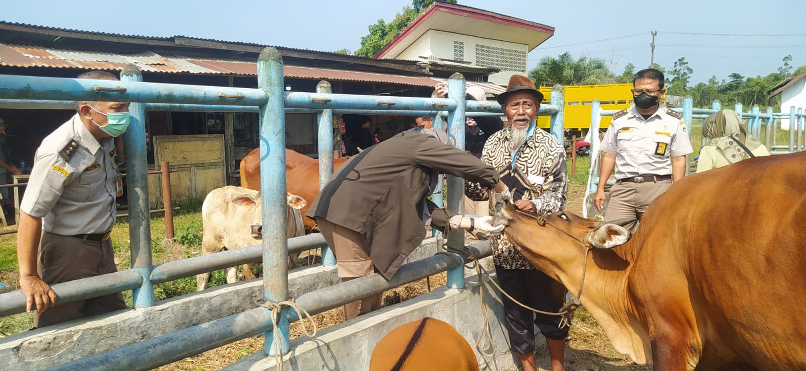 Waspadai Penyakit PMK pada Hewan Ternak di Batanghari, Disbunak Lakukan Pencegahan