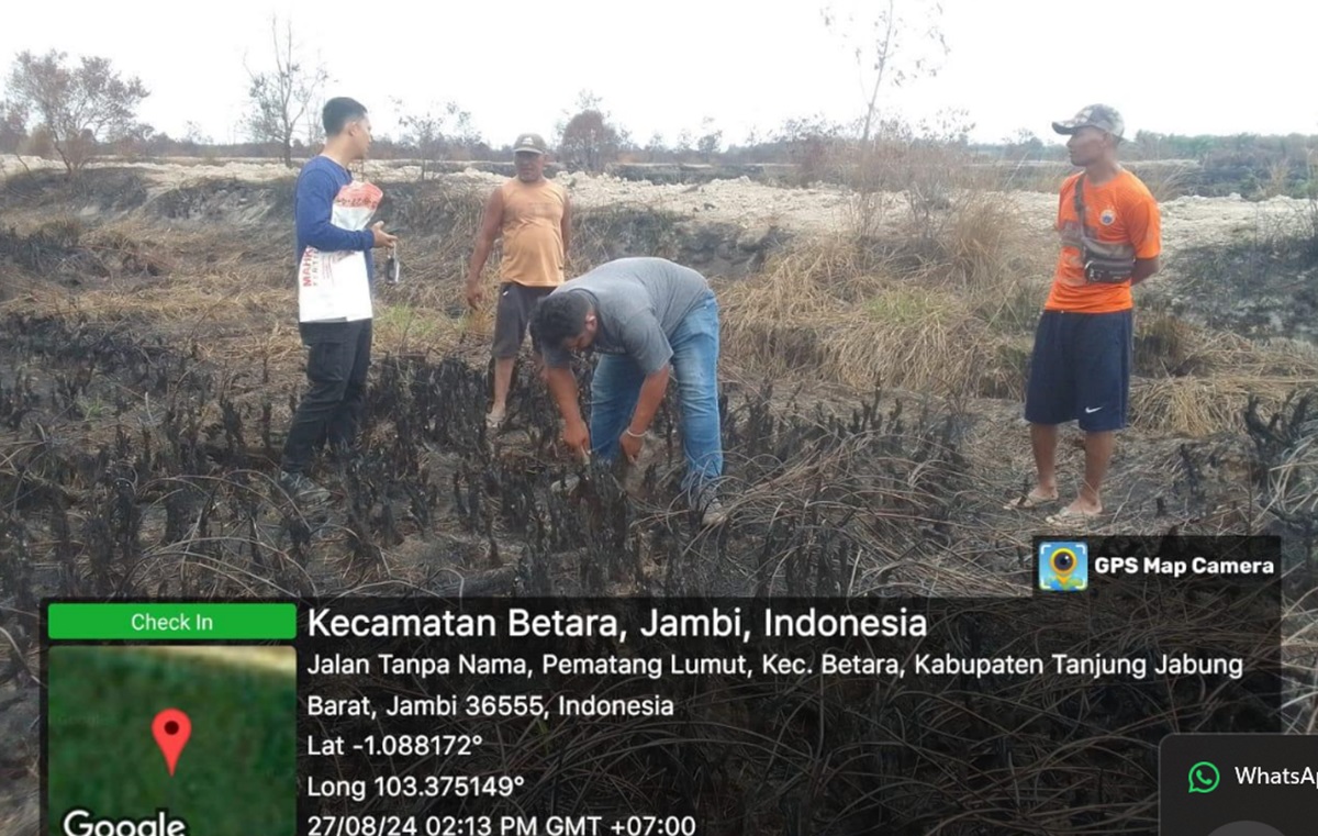 Polisi Selidiki Kebakaran Lahan yang Disebut-sebut Masuk Konsesi PT AMM