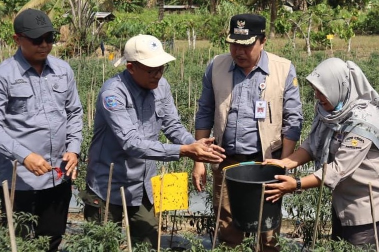 Pj Bupati Merangin Buka Sekolah Lapangan Pertanian