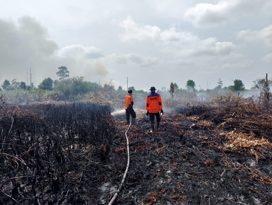 Karhutla di Londerang Meluas, Api Masuk Wilayah Tanjabtim