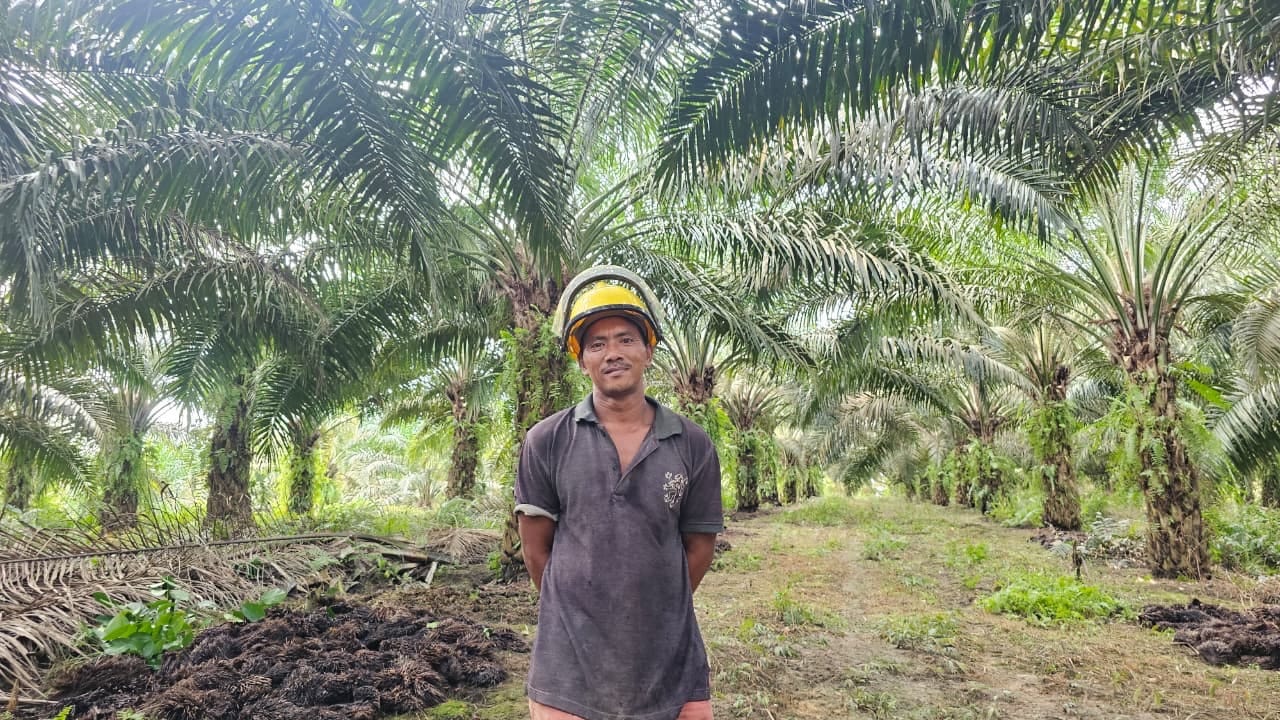 Dari Hutan Menuju Harapan: Perjalanan Ali dan Sidarmi untuk Masa Depan yang Lebih Baik