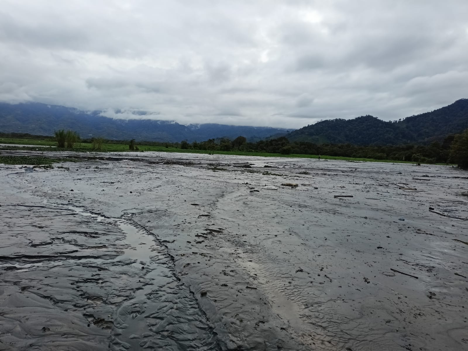 Lahar Dingin Gunung Kerinci Mulai Menutupi Sawah dan Rawa Bento