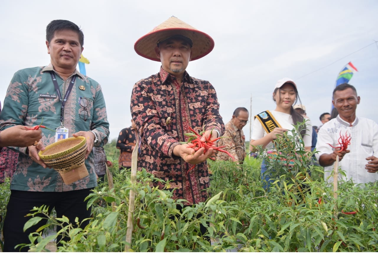 Inflasi Kota Jambi Bulan Maret Alami Penurunan