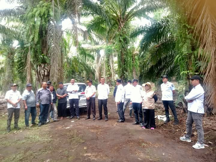 Bukit Kerman Berpeluang Jadi Ibukota Kerinci Hilir