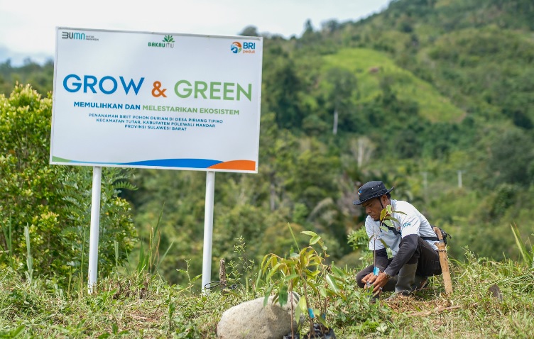 Bangkitkan Harapan Petani di Lahan Kritis, BRI Menanam Grow & Green Salurkan Bantuan Tanaman Produktif