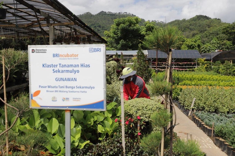 Perkuat Ekonomi Kerakyatan, BRI Berdayakan 41 ribu Klaster Usaha melalui Pembiayaan dan Literasi Keuangan
